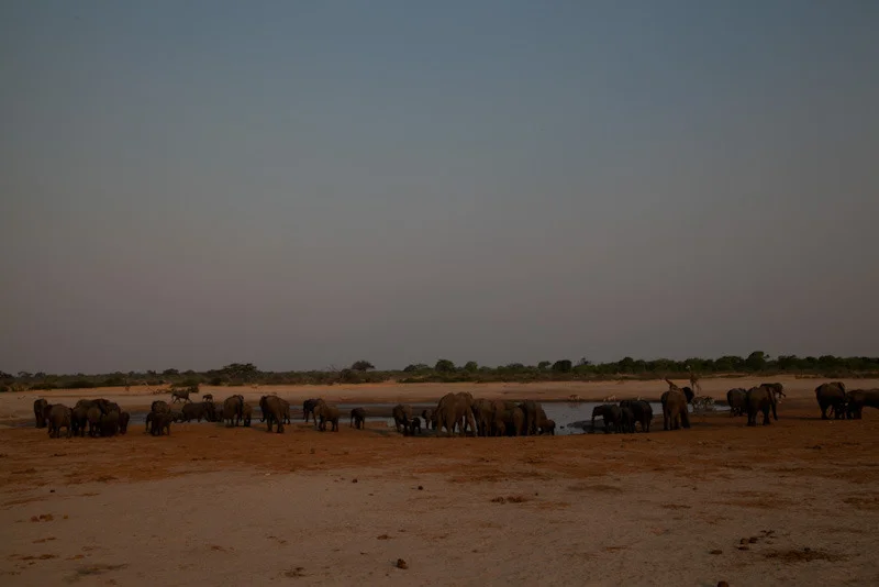 zimbabweblogresize103.jpg