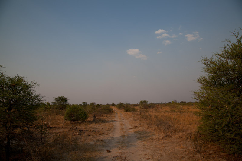 zimbabweblogresize81.jpg