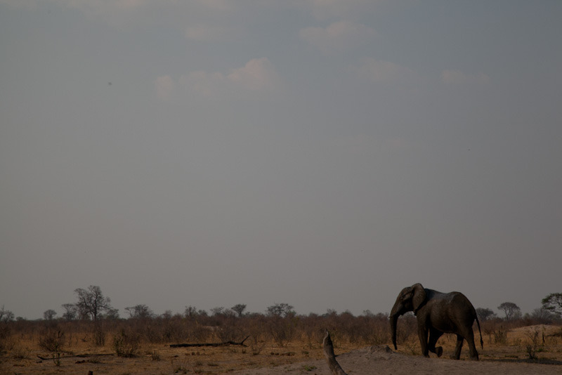 zimbabweblogresize78.jpg