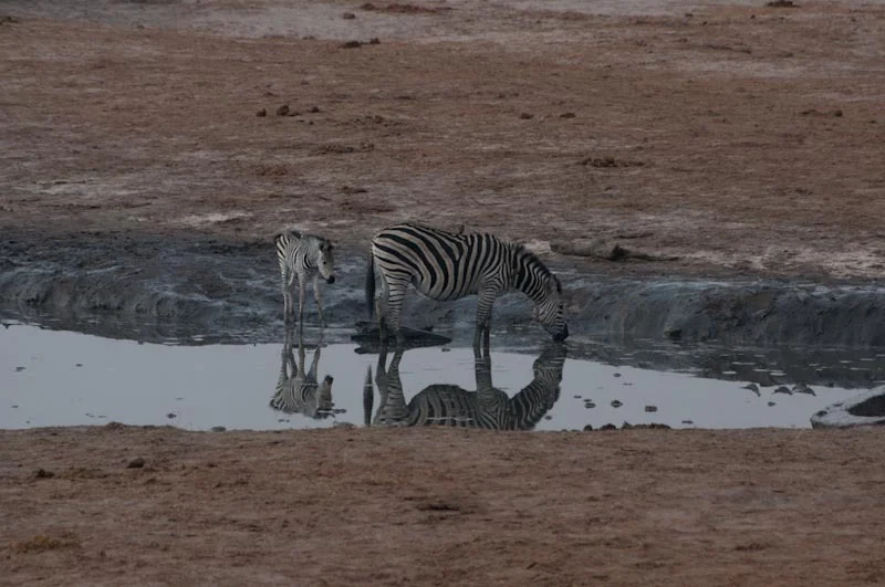 zimbabweblogresize77.jpg