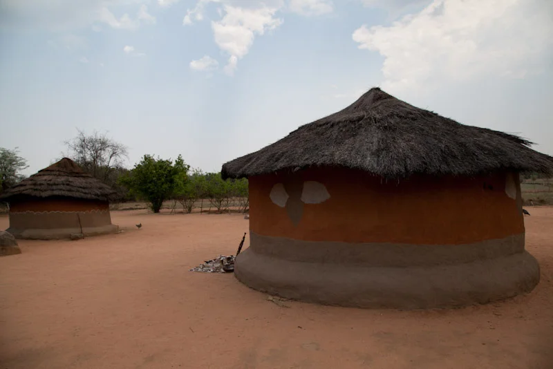 zimbabweblogresize49.jpg
