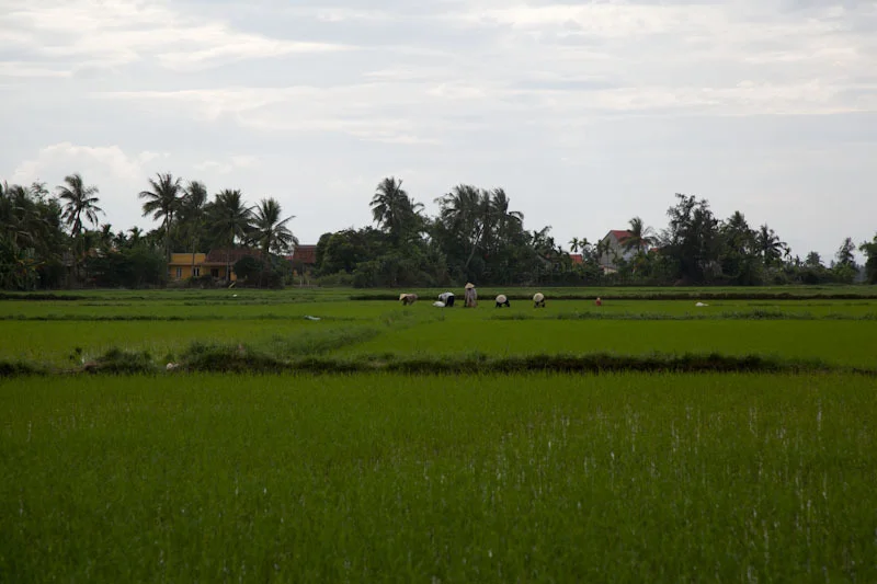 coastalvietnamupload112.jpg