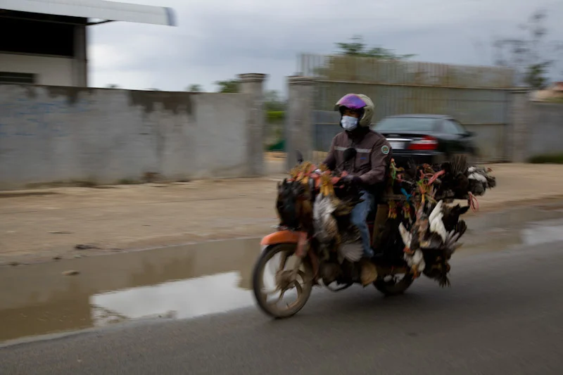 cambodiatravelblog18.jpg