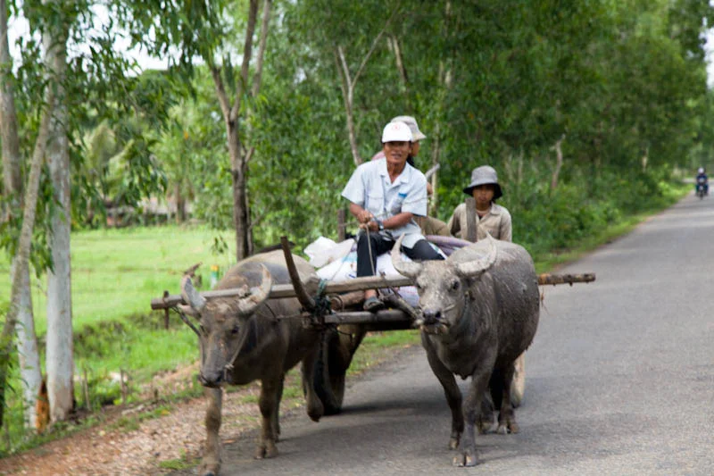 cambodiatravelblog43.jpg