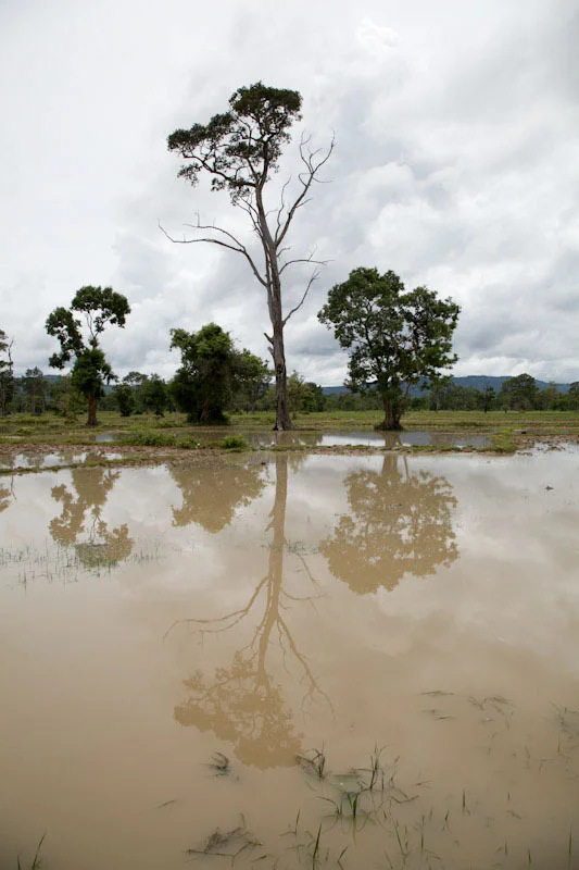 cambodiatravelblog47.jpg