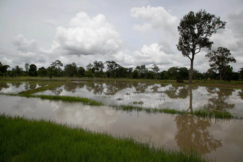 cambodiatravelblog46.jpg