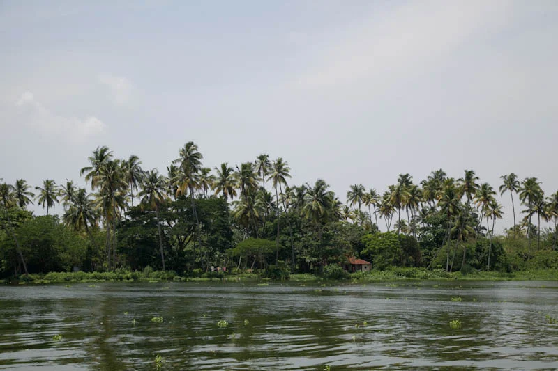 nkeralablog43.jpg