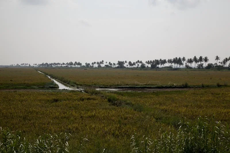 nkeralablog52.jpg
