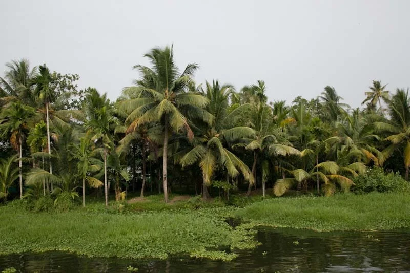 nkeralablog75.jpg