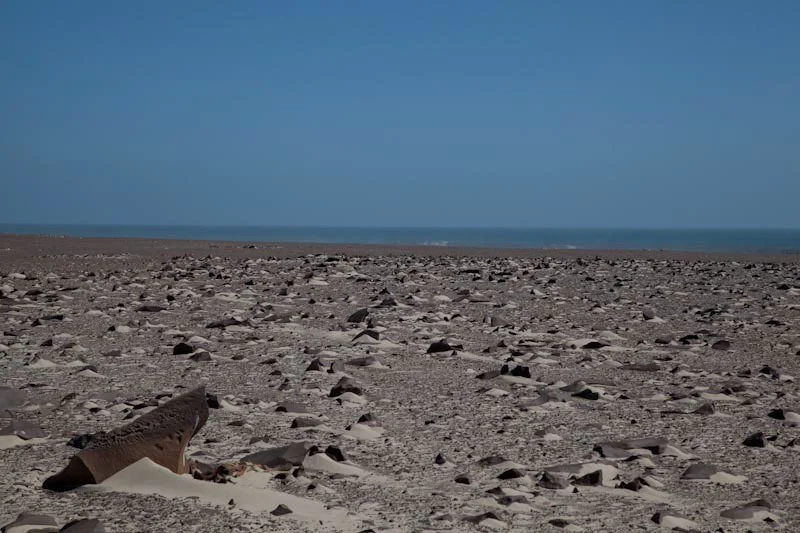 southnamibblog24.jpg
