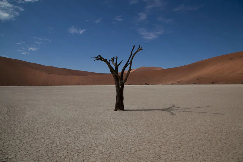 southnamibblog87.jpg