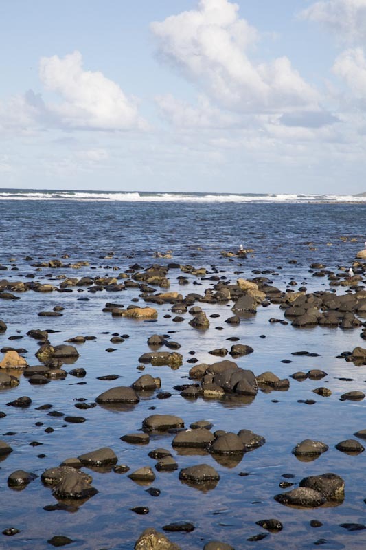 sunlensydblog30.jpg