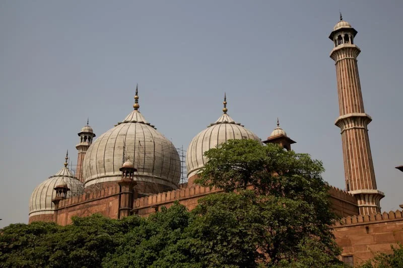 delhiblog81.jpg