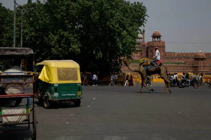 delhiblog64.jpg