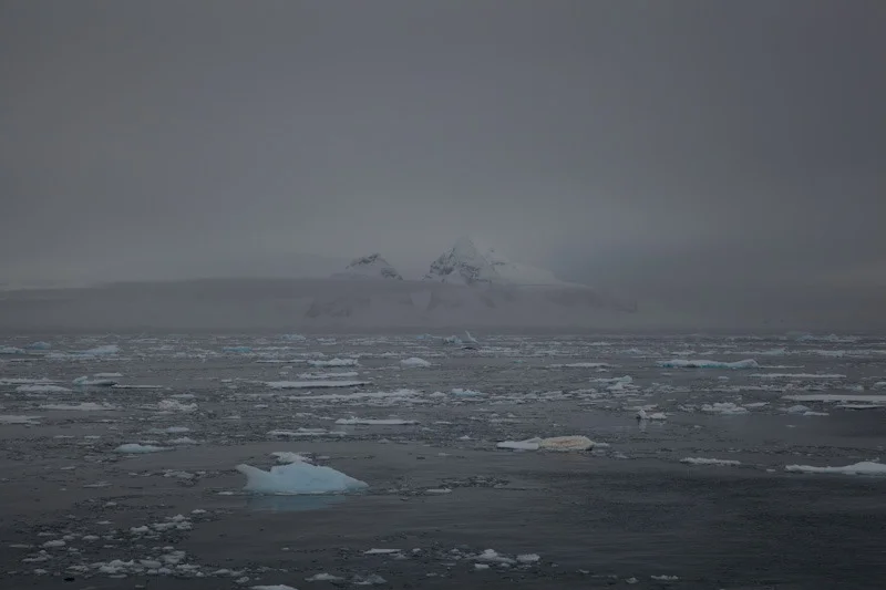 antarcticblogtwo186.jpg