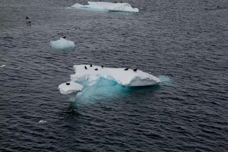 antarcticblogtwo184.jpg