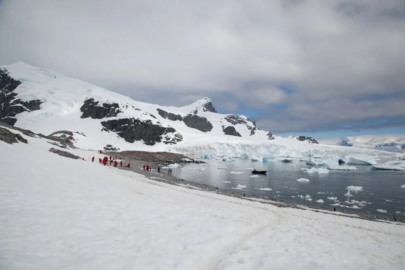 antarcticblogtwo198.jpg