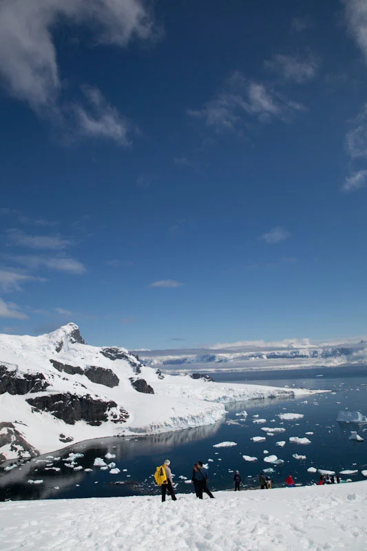 antarcticblogtwo206.jpg