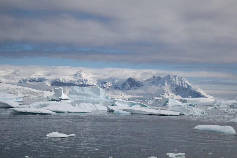 antarcticblogtwo199.jpg