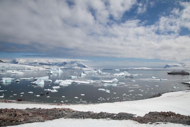 antarcticblogtwo201.jpg