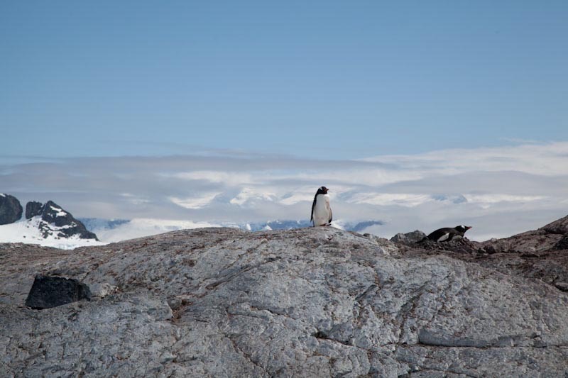 antarcticblogtwo210.jpg