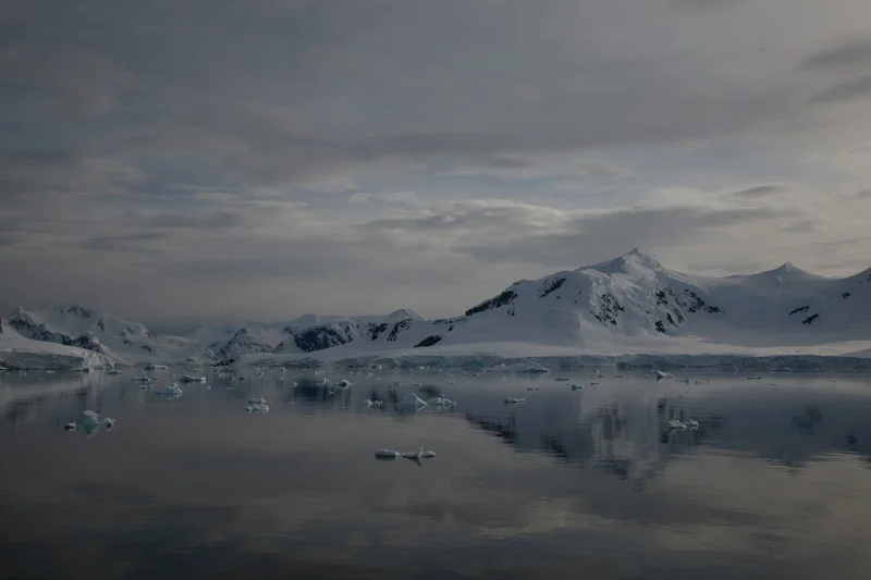 antarcticblogtwo149.jpg