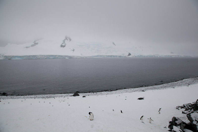 antarcticblogtwo144.jpg
