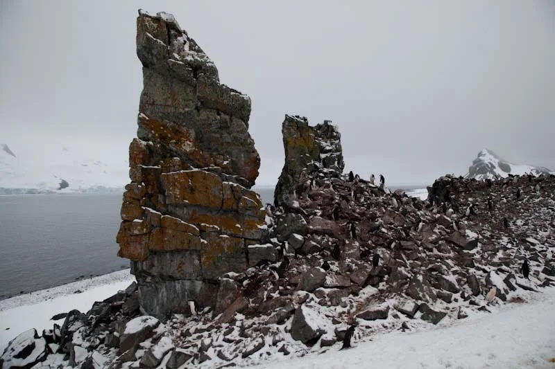 antarcticblogtwo143.jpg
