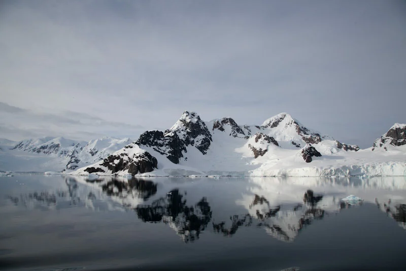antarcticblogtwo151.jpg