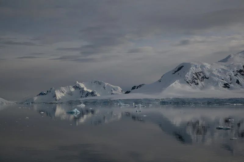 antarcticblogtwo153.jpg