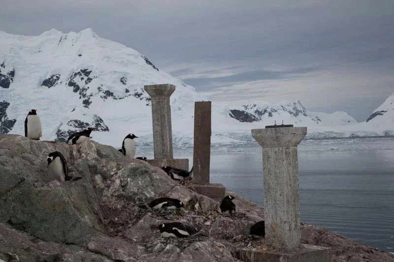 antarcticblogtwo166.jpg