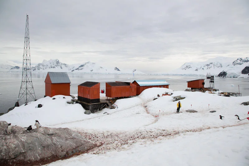 antarcticblogtwo167.jpg