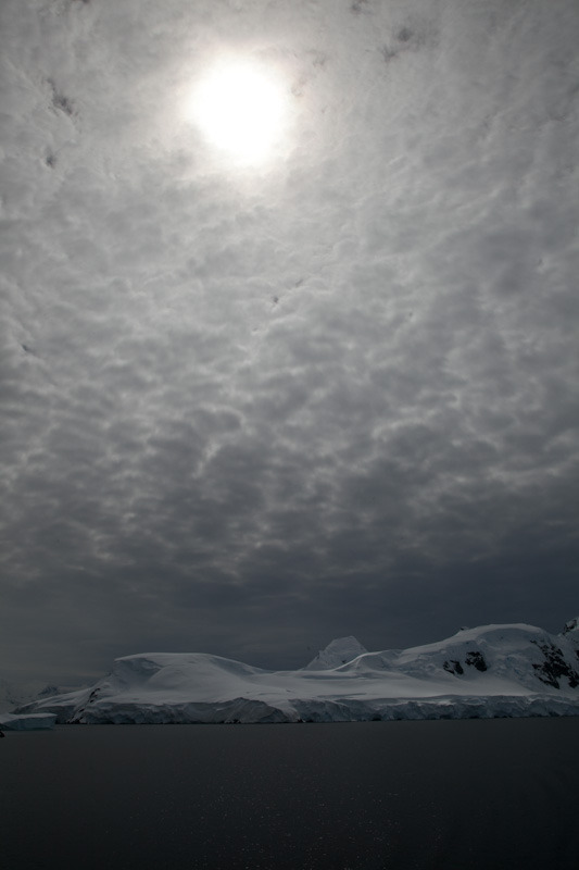 antarcticblogtwo177.jpg