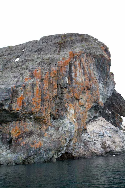 antarcticblogtwo172.jpg