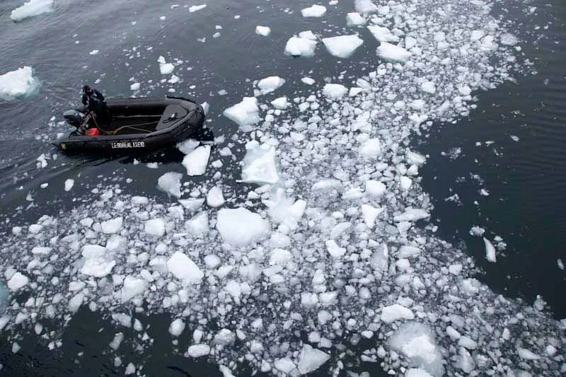 antarcticblogtwo175.jpg