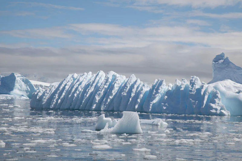 antarcticblogtwo219.jpg