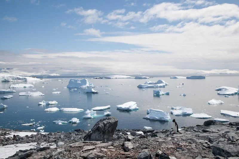 antarcticblogtwo214.jpg