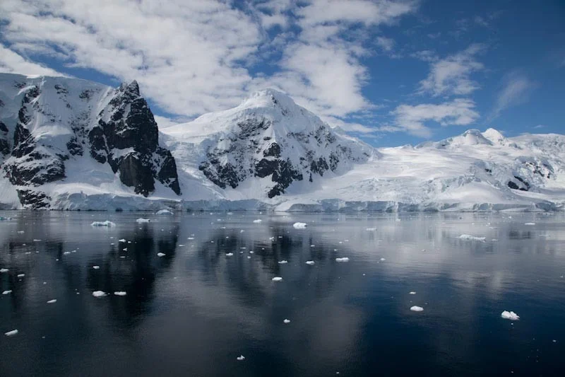 antarcticblogtwo230.jpg