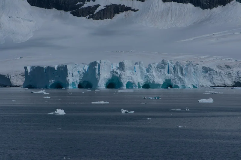 antarcticblogtwo229.jpg
