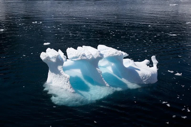 antarcticblogtwo234.jpg