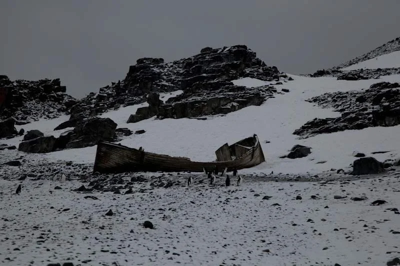 antarcticblogtwo120.jpg