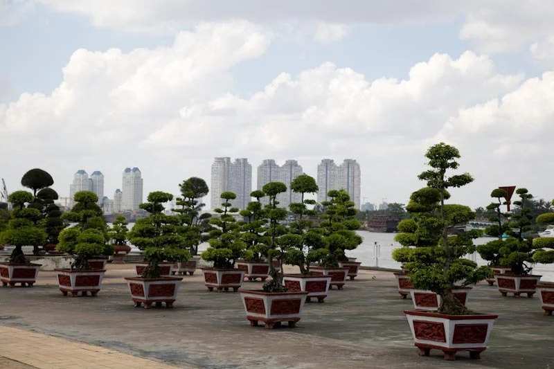 saigonphuquocupload45.jpg