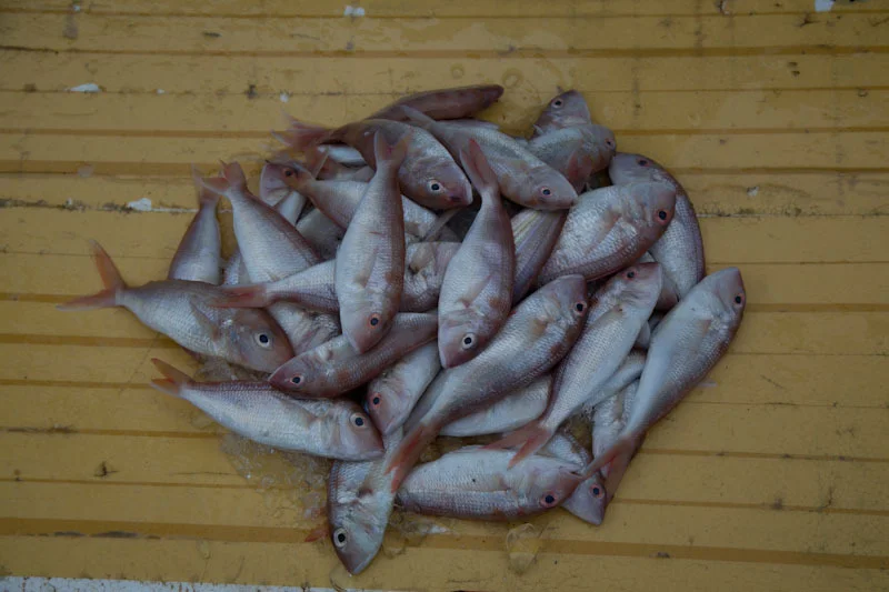 saigonphuquocupload85.jpg