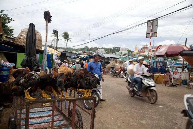 saigonphuquocupload81.jpg