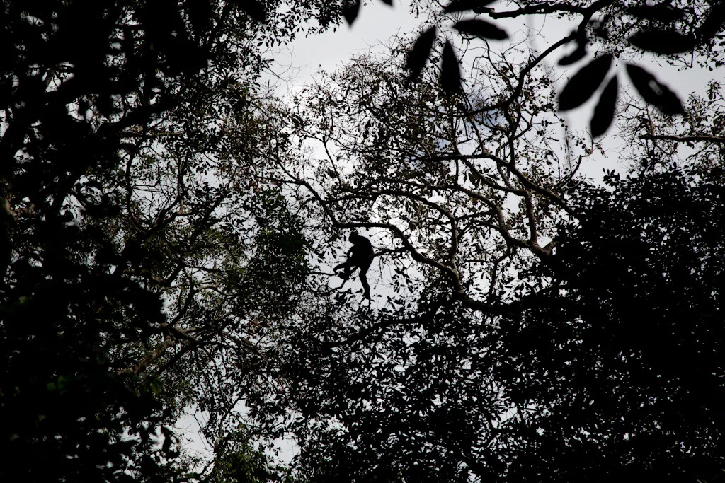 uganda blog gallery-22.jpg