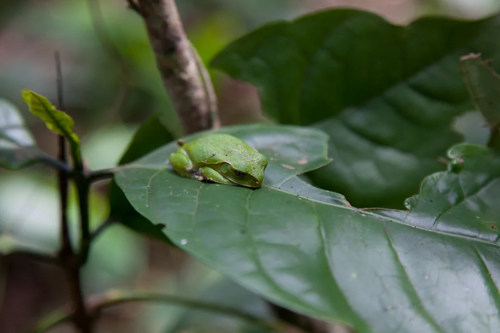uganda blog gallery-20.jpg