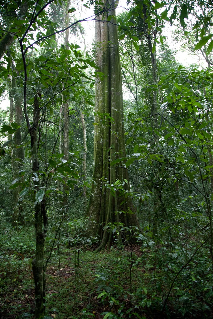 uganda blog gallery-24.jpg