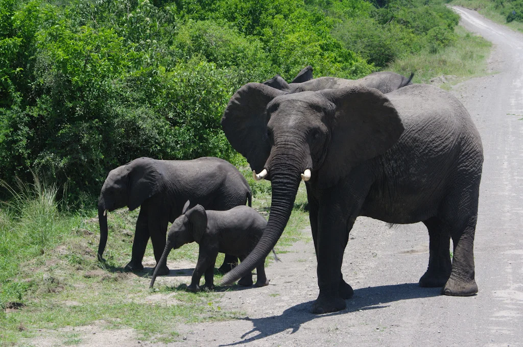 uganda blog gallery-33.jpg