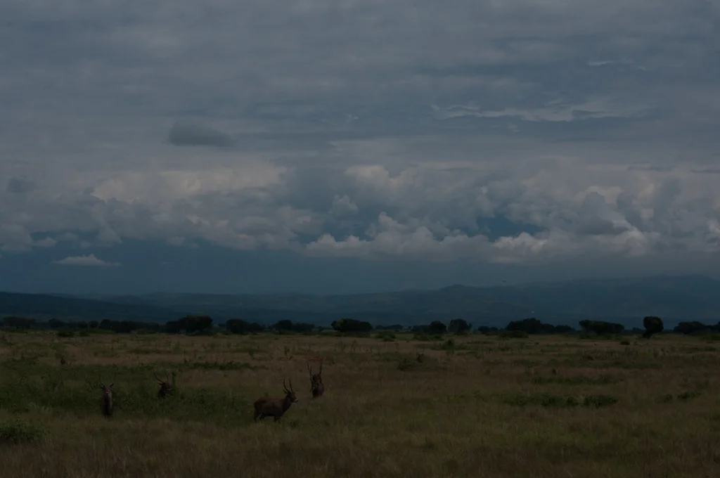 uganda blog gallery-30.jpg