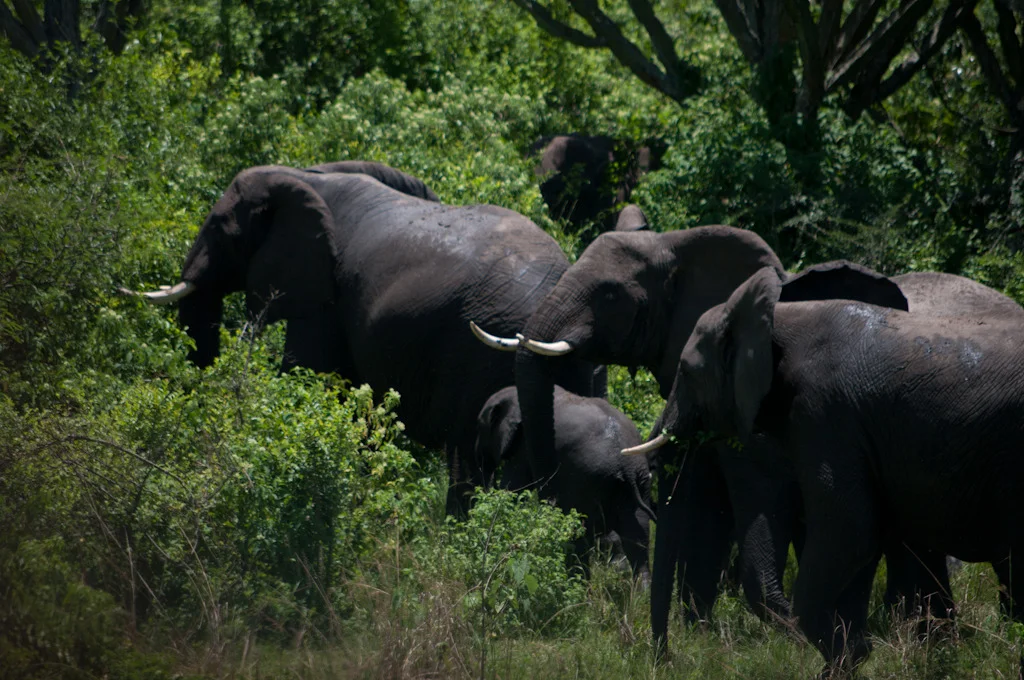 uganda blog gallery-31.jpg